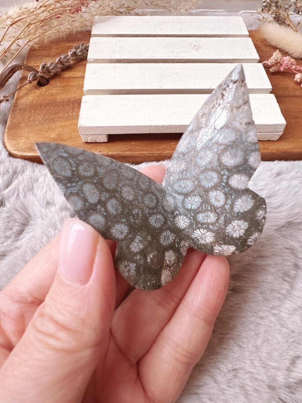 Fossil Coral 3D Butterfly Carving